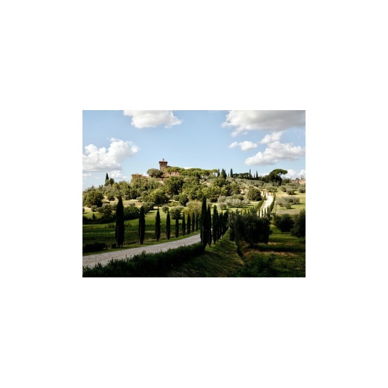Rundreisen Italien - Toskana: Flexible Mietwagen-Rundreise ab/an Florenz: Malerische Toskana