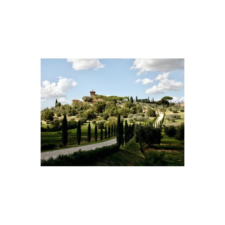 Rundreisen Italien - Toskana: Flexible Mietwagen-Rundreise ab/an Florenz: Malerische Toskana