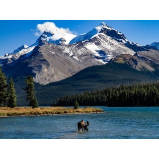 Rundreisen Kanada - Westkanada: Flexible Mietwagen-Rundreise ab Vancouver bis Edmonton:  Kanadas Heiße Quellen entdecken