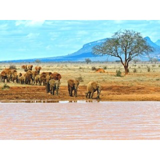 Rundreisen Kenia: Für Einsteiger mit Entspannung