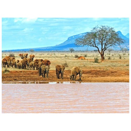Rundreisen Kenia: Für Einsteiger mit Entspannung
