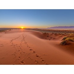 Rundreisen Namibia: Baustein-Rundreise ab/an Windhoek: Atemberaubendes Namibia