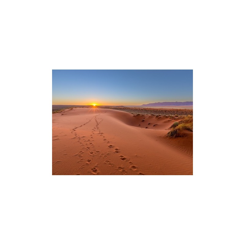 Rundreisen Namibia: Baustein-Rundreise ab/an Windhoek: Atemberaubendes Namibia