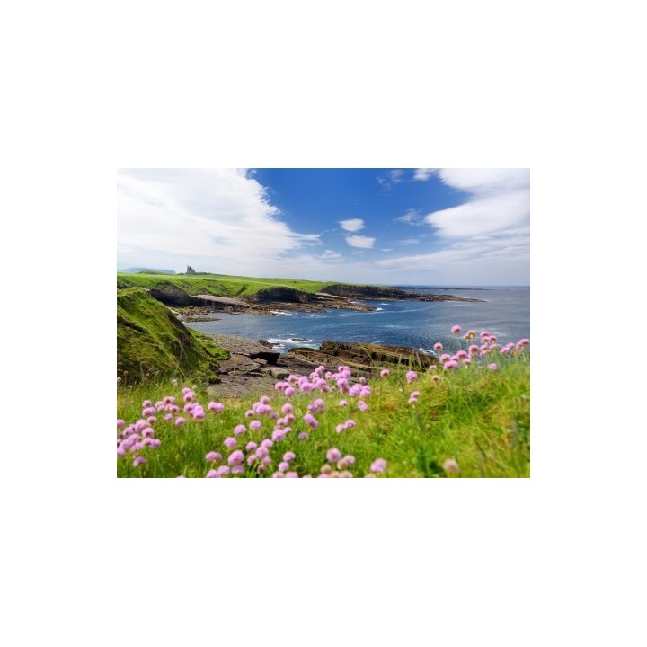 Rundreisen Nordirland: Flexible Mietwagen-Rundreise ab/an Belfast: Nordirische Entdeckungsreise