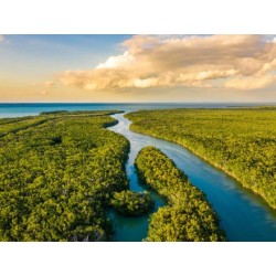 Rundreisen USA - Florida: Sonne, Natur & Abenteuer