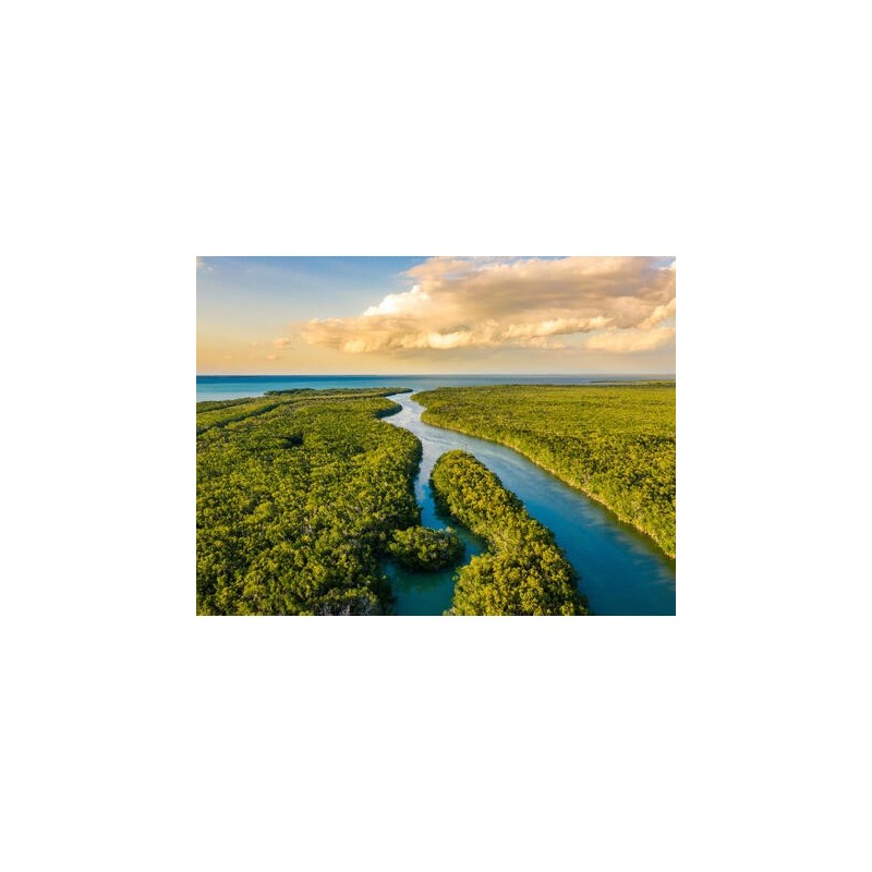 Rundreisen USA - Florida: Sonne, Natur & Abenteuer