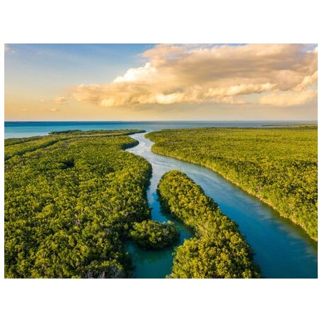 Rundreisen USA - Florida: Sonne, Natur & Abenteuer