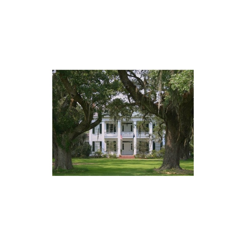 Rundreisen USA - Südstaaten: Flexible Mietwagen-Rundreise ab/an Atlanta: Southern Charm