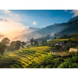 Rundreisen Vietnam: Baustein-Rundreise ab Hanoi bis Ho Chi Minh-Stadt: Vietnams Höhepunkte inklusive Mekong-Delta
