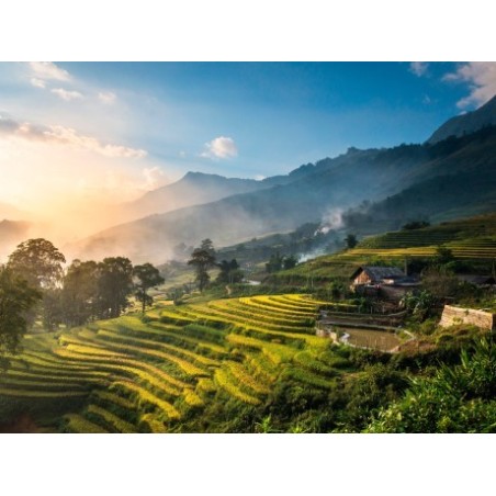 Rundreisen Vietnam: Baustein-Rundreise ab Hanoi bis Ho Chi Minh-Stadt: Vietnams Höhepunkte inklusive Mekong-Delta