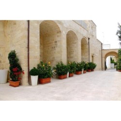 San Giuseppe