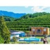 Saxida wine & camping resort