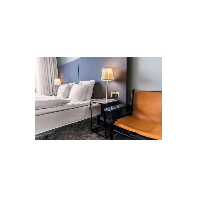 Scandic The Mayor Hotel