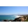 Sea Star Cliff