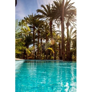 Eden Meloneras by TAM Resorts