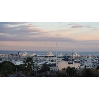 Stuttgart - Antibes Juan-Les-Pins - Hôtel Le Collier