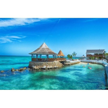 Stuttgart - Montego Bay - SeaGarden Beach Resort - All Inclusive