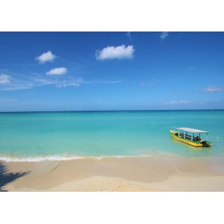 Stuttgart - Negril - White Sands Negril