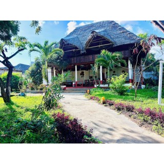 Stuttgart - Nungwi - The Tropinest bungalow