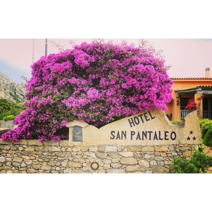 Stuttgart - Porto Rotondo - Hotel San Pantaleo