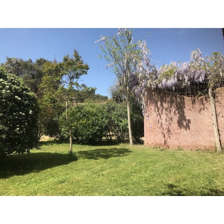 Stuttgart - Porto-Vecchio - Résidence Les Cigales