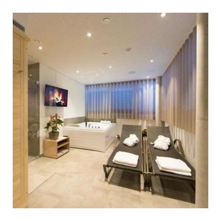 Hotel & Spa Suites VITUS Steyr