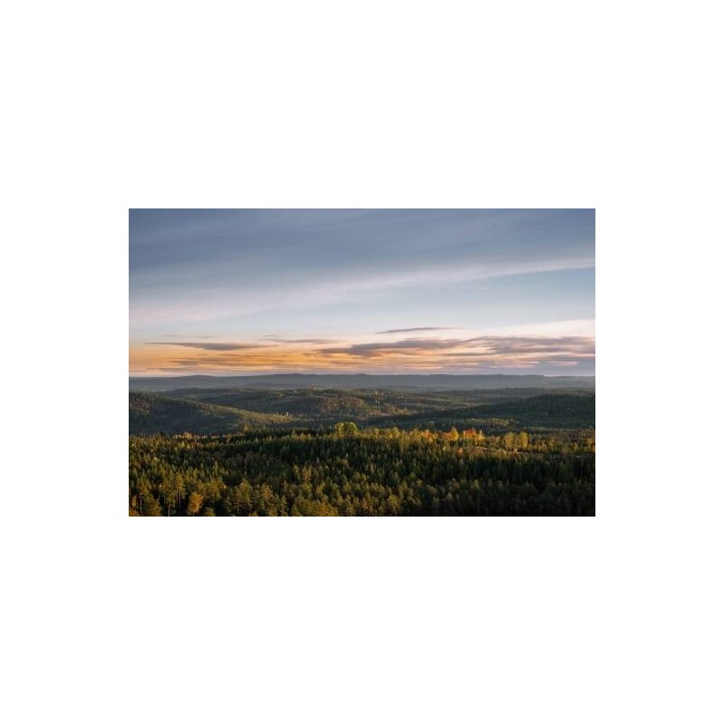 Värdshuset Flottaren