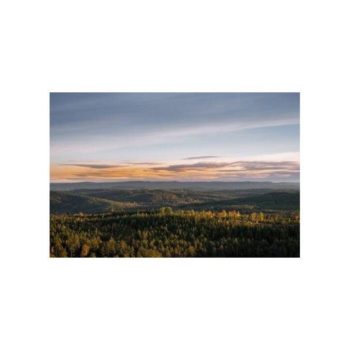 Värdshuset Flottaren