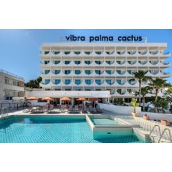Vibra Palma Cactus