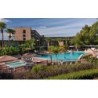Rosen Inn International
