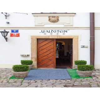 Waldstein