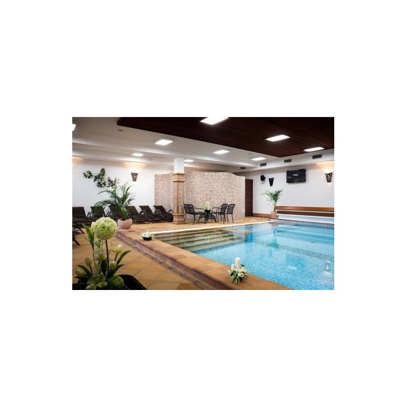 Wellness Hotel Kněžínek