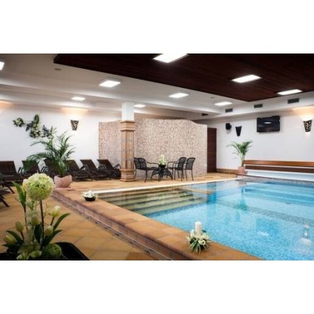 Wellness Hotel Kněžínek