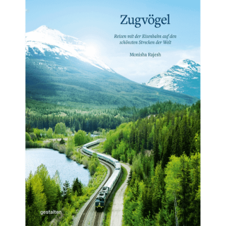 Zugvögel.