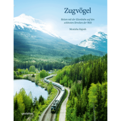 Zugvögel.