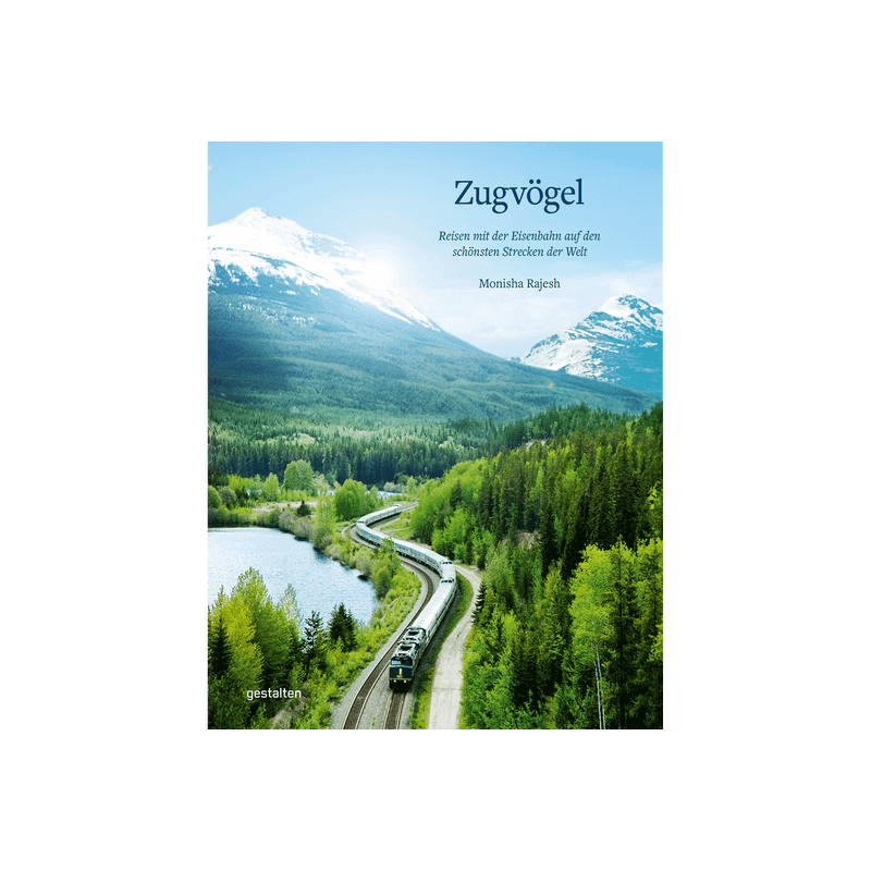 Zugvögel.
