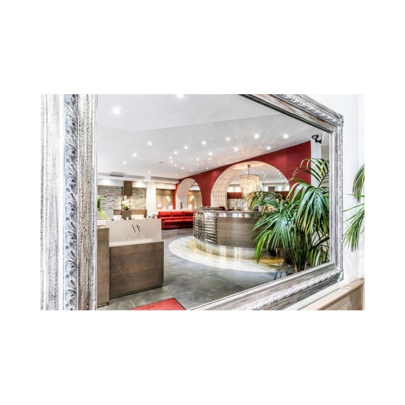 Hotel de Suede