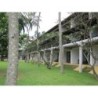 Hotel Jetwing Beach