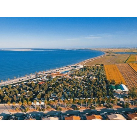 Taiga Delta de l’Ebre