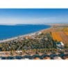 Taiga Delta de l’Ebre