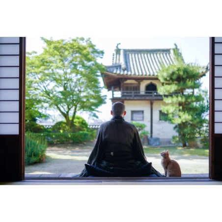 Japan Intense: Von Neonlicht zu Mönchsgesang