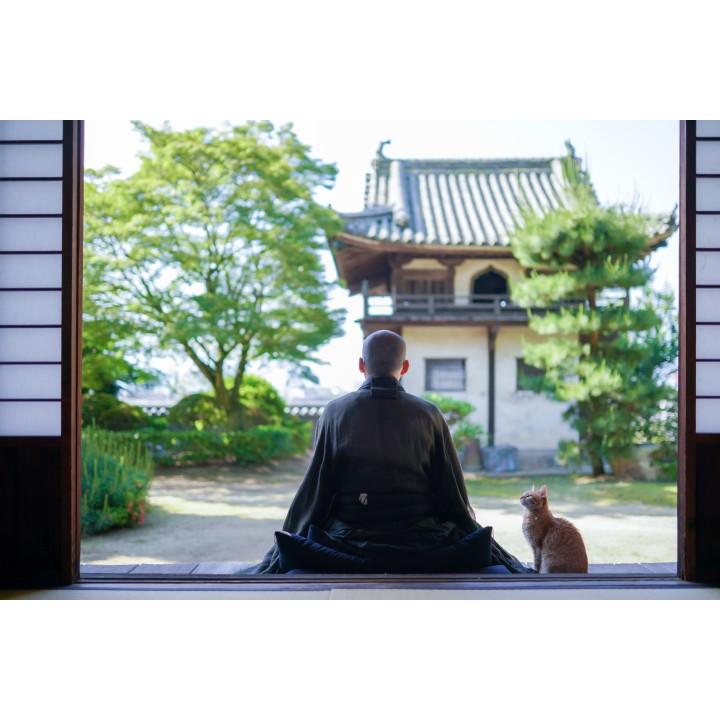 Japan Intense: Von Neonlicht zu Mönchsgesang