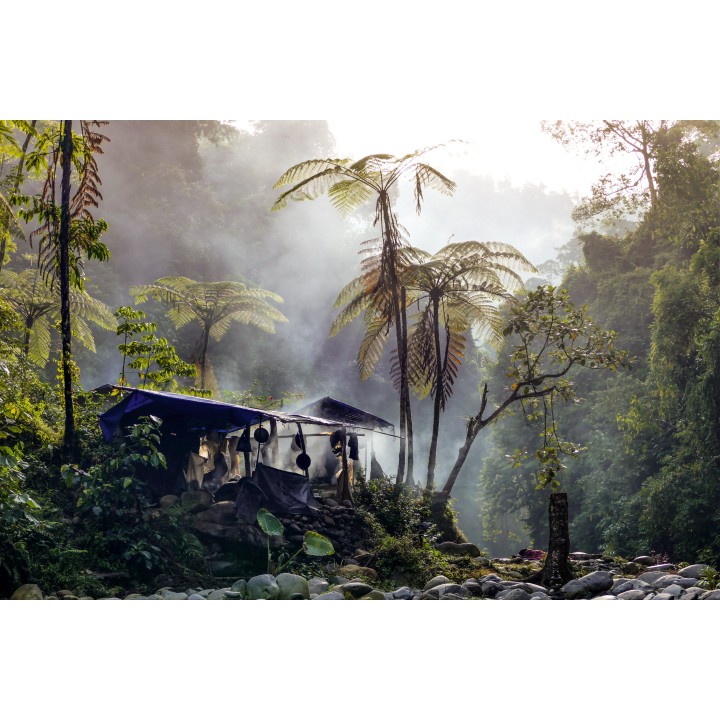 Asiens Kontraste: Sumatras Dschungel & funkelnde Skylines