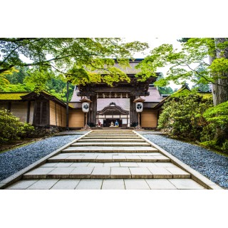 Japan Intense: Von Neonlicht zu Mönchsgesang