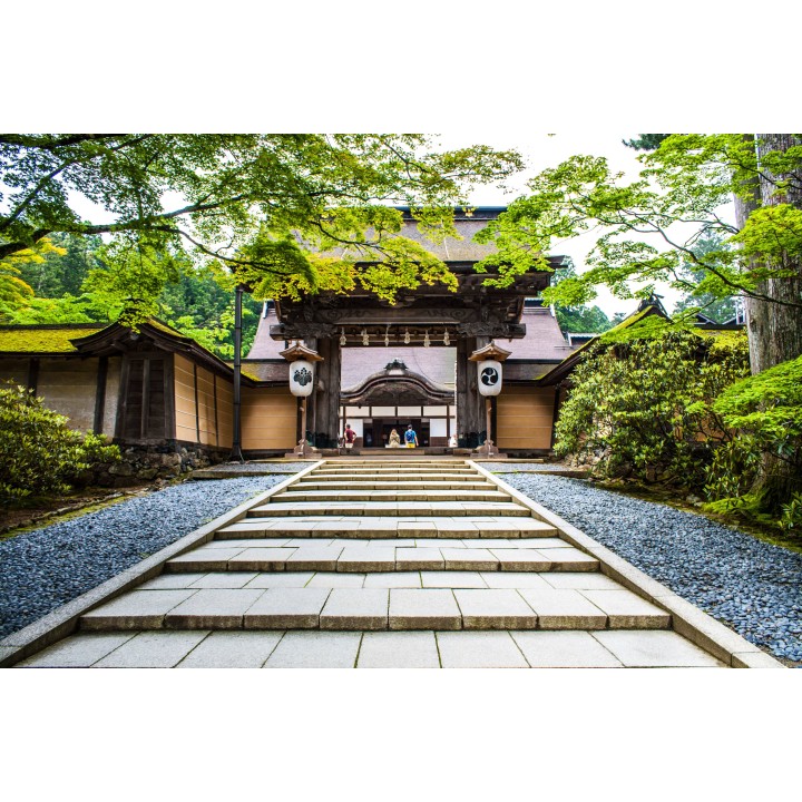 Japan Intense: Von Neonlicht zu Mönchsgesang