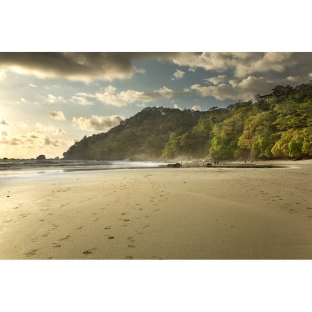 Costa Rica Roadtrip: Jungle Nights & Caribbean Vibes