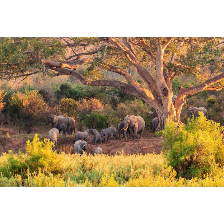 Südafrika Roadtrip: Wildlife Glamping, Krüger & Kapstadt