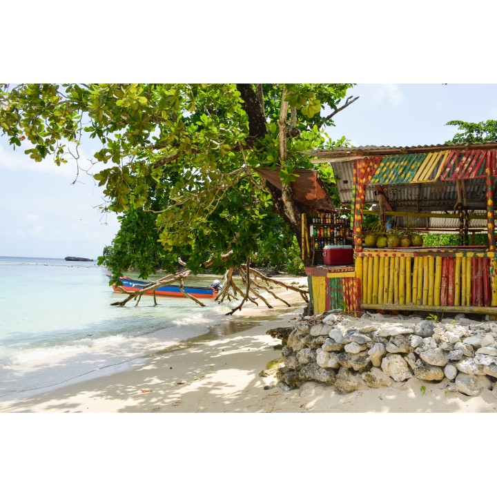 Jamaika Jam: Reggae Roadtrip & Beach Vibes!