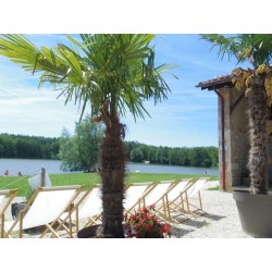Camping La Grange Du Pin