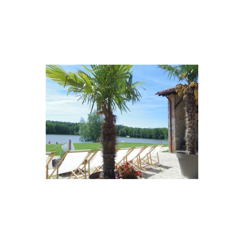 Camping La Grange Du Pin